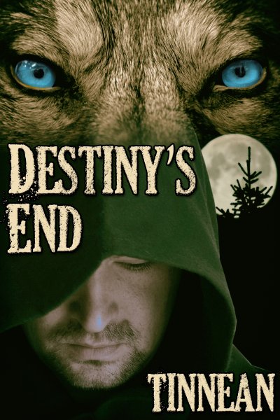 Destinys_End_400x600